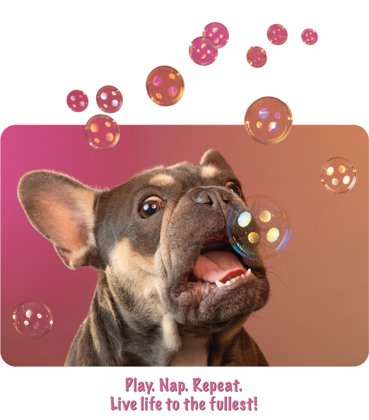 Mixed image banner 1