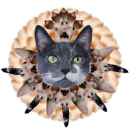 Black Glossy Mug • Cats Make Life Whole