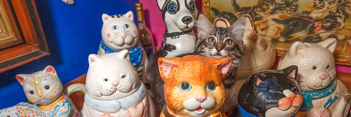 Featured banner image