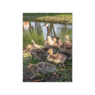 Greeting card - Seasons