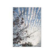 Greeting card - Seasons