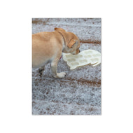 Greeting card - Seasons