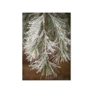 Greeting card - Seasons