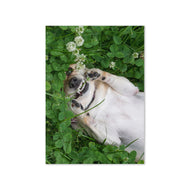 Greeting card - Seasons