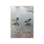 Greeting card - Seasons