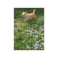 Greeting card - Seasons