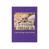 Greeting card • Cats and Dogs Can Get Along!