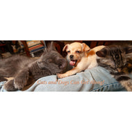 White glossy mug • Cats and Dogs Can Get Along! • Panorama