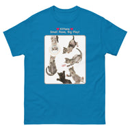 Kittens - Small Paws, Big Play! • Unisex classic tee