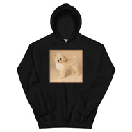 Unisex Hoodie • Dixie
