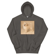 Unisex Hoodie • Dixie