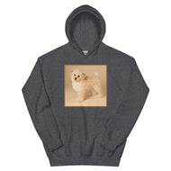 Unisex Hoodie • Dixie