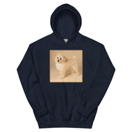 Unisex Hoodie • Dixie