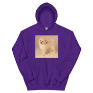 Unisex Hoodie • Dixie