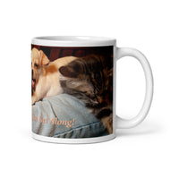 White glossy mug • Cats and Dogs Can Get Along! • Panorama