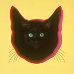 A Lost Dog Finds Cat Paradise — Paperback