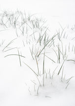 Greeting card • Seasons