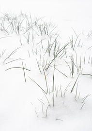 Greeting card • Seasons