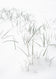 Greeting card • Seasons