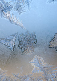 Greeting card • Seasons