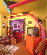 Black Glossy Mug • The Cats' House