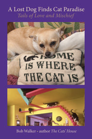 A Lost Dog Finds Cat Paradise — Paperback