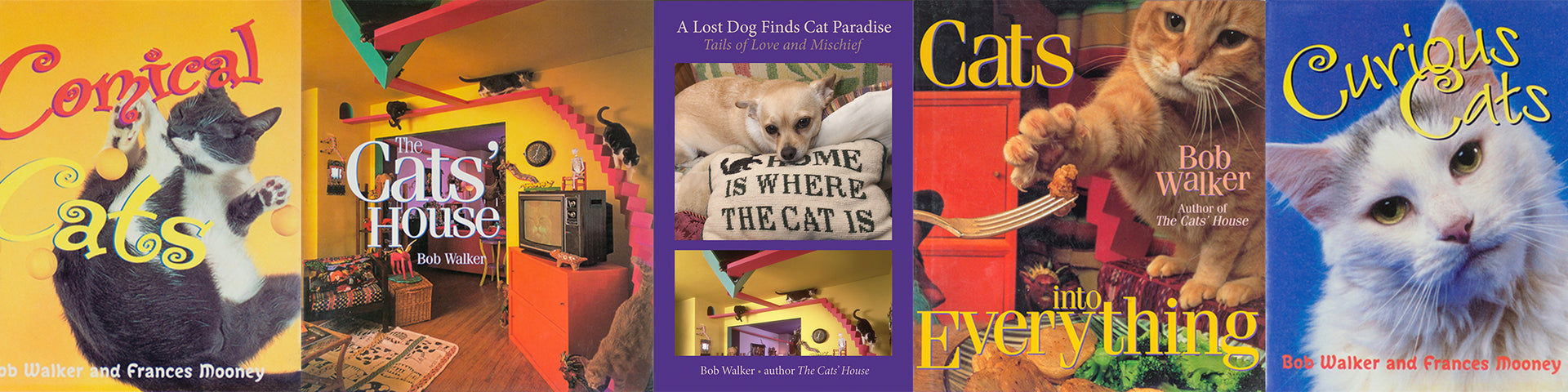 Featured banner image 