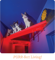 Unisex classic tee • Cats House • Neon Hall • PURR-fect Living!