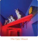 Unisex classic tee • Neon Hall • Cats House txt