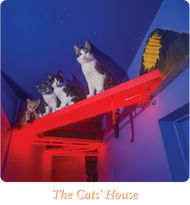 Unisex classic tee • Neon Hall • Cats House txt