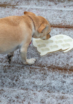 Greeting card • Seasons • Sadie Discovers Cat Ice Cubes