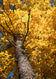 Greeting card • Seasons