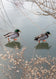 Greeting card • Seasons • Walking on Water