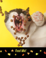 Photo paper poster • Feed Me! • 16x20