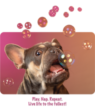Unisex classic tee • Frenchie Bubbles! Play. Nap. Repeat.