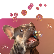 White glossy mug • Frenchie Bubbles • no text