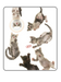 Unisex classic tee • Under Kittens • Collage • white background