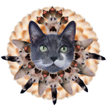 White glossy mug • Cats Make Life Whole!