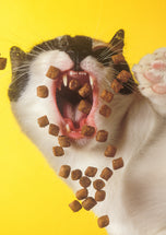 Greeting card • Feed Me!