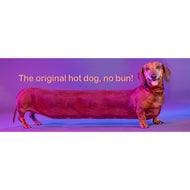 White glossy mug • The original hot dog, no bun! • Dachshund