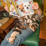 A Lost Dog Finds Cat Paradise — Hardcover