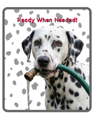 Unisex classic tee • Dalmatian • Ready When Needed!