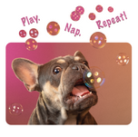 Unisex classic tee • Frenchie Bubbles • Play. Nap. Repeat!