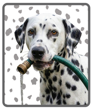 Unisex classic tee • Dalmatian • no txt