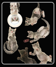 Unisex classic tee • Under Kittens • Food & Play