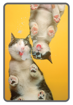 Unisex classic tee • Under Cats • Double Licks