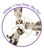 Unisex classic tee • Kittens • Tiny Paws, Big Joy!
