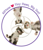 Kittens - Tiny Paws, Big Joy! • Unisex classic tee