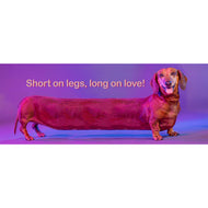 White glossy mug • Long on Love • Dachshund