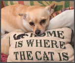 Short-Sleeve Unisex T-Shirt • Cats and Dogs Can Get Along!